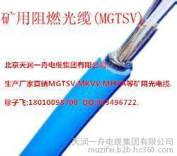 新疆MGTSV阻燃通信光纜介紹 MGTSV-16B1光纜廠家報(bào)價(jià)與細(xì)節(jié)解析——天潤一舟電纜集團(tuán)